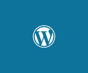 seo expart, nazrul islam, seo expart nazrul,